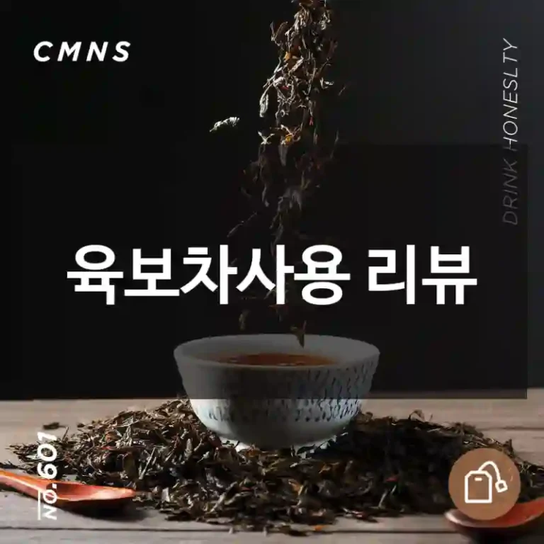 육보차사용 리뷰