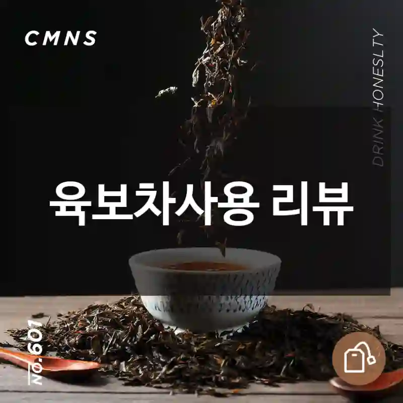 육보차사용 리뷰