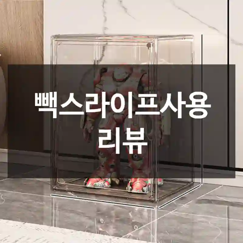 빽스라이프사용 리뷰