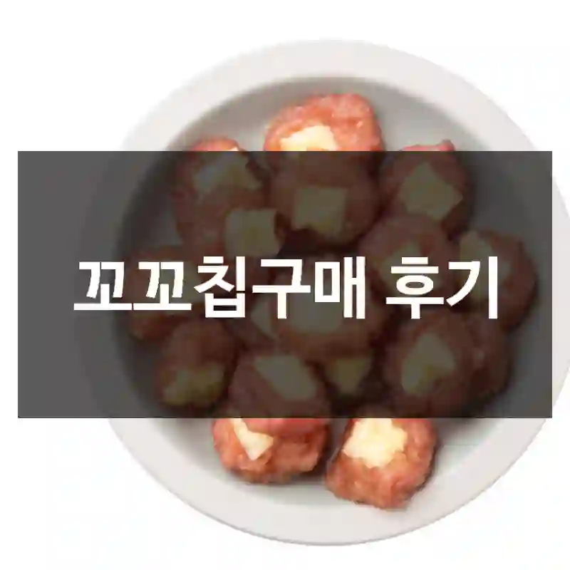 꼬꼬칩구매 후기