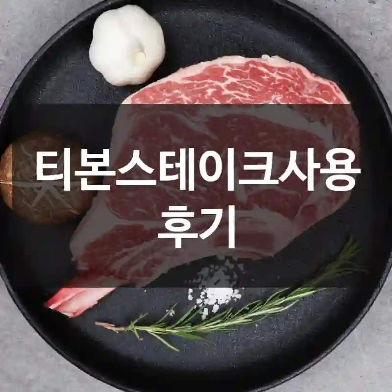 티본스테이크사용 후기