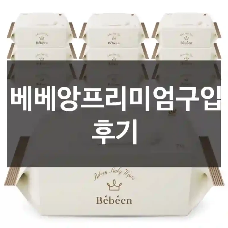 베베앙프리미엄구입 후기