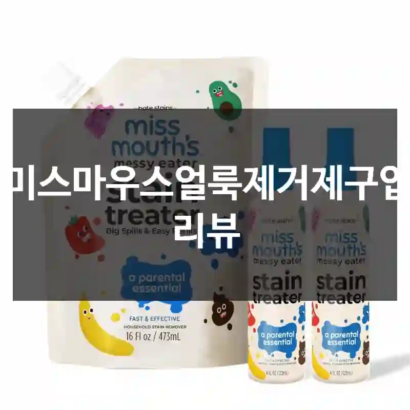 미스마우스얼룩제거제구입 리뷰