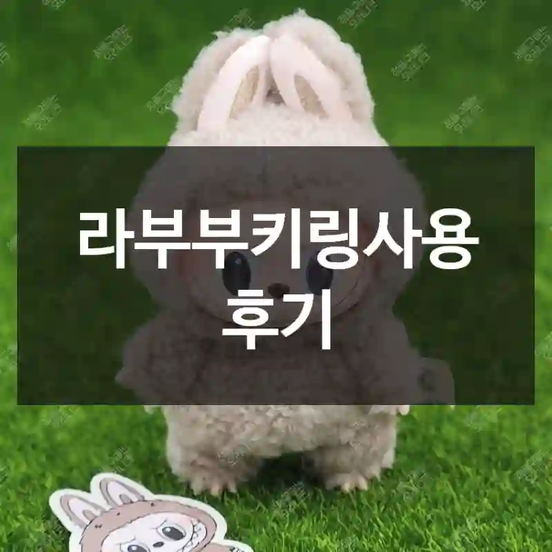 라부부키링사용 후기