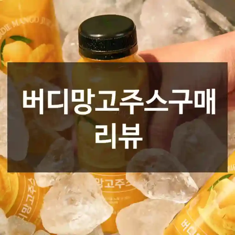 버디망고주스구매 리뷰
