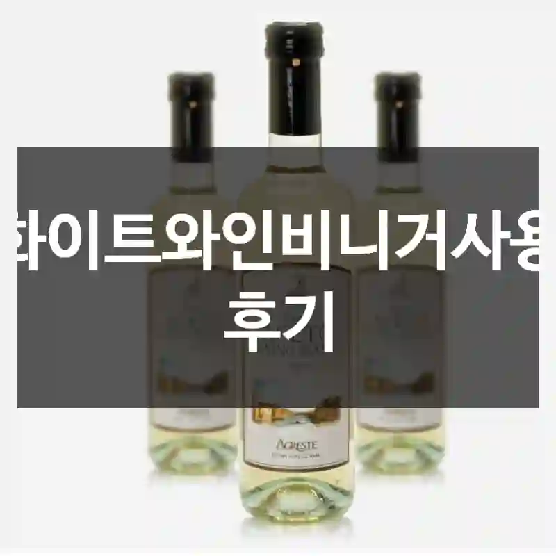 화이트와인비니거사용 후기