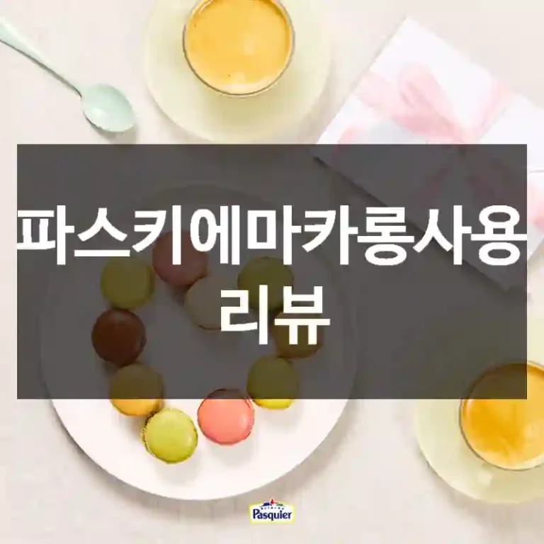 파스키에마카롱사용 리뷰