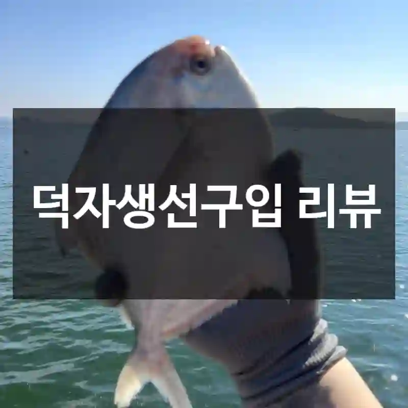 덕자생선구입 리뷰