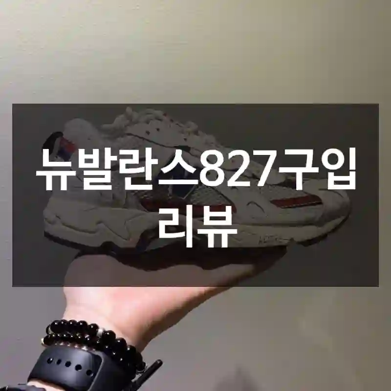 뉴발란스827구입 리뷰