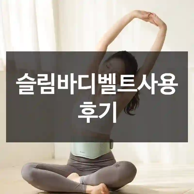 슬림바디벨트사용 후기