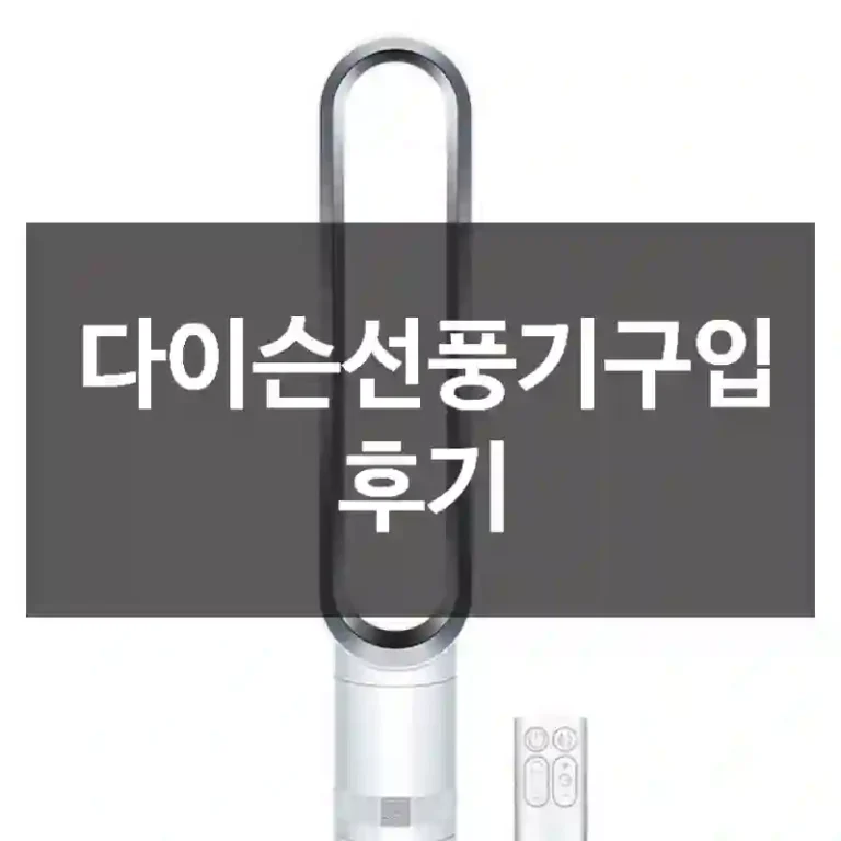 다이슨선풍기구입 후기