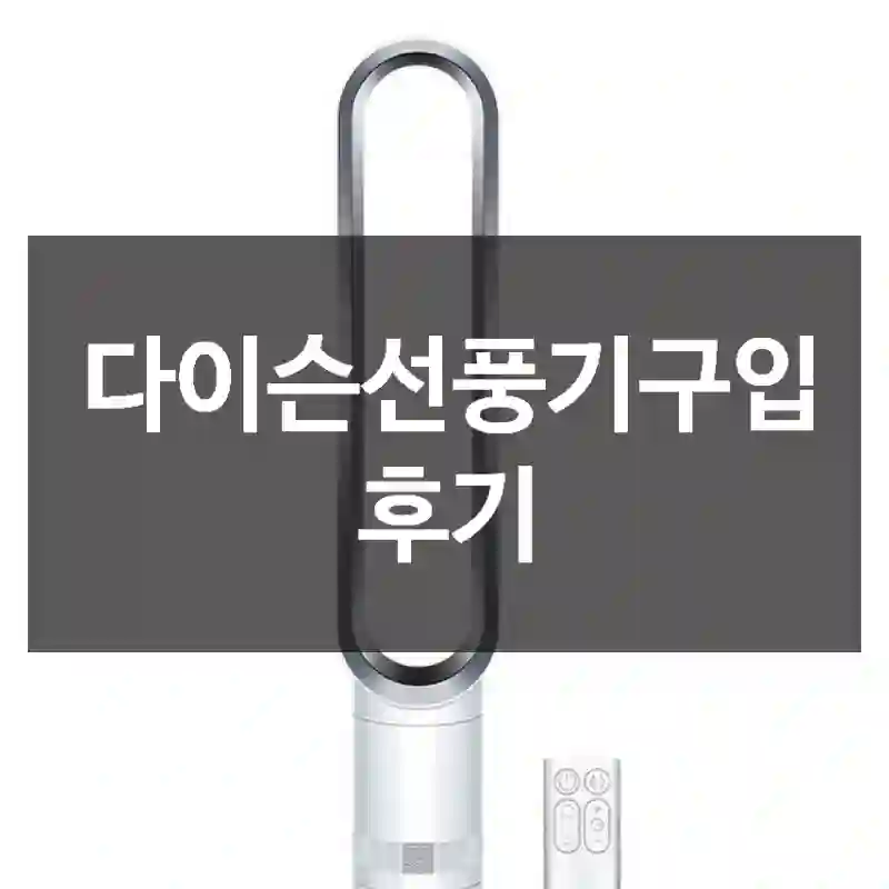 다이슨선풍기구입 후기