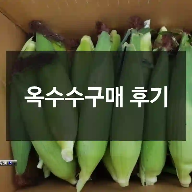 옥수수구매 후기