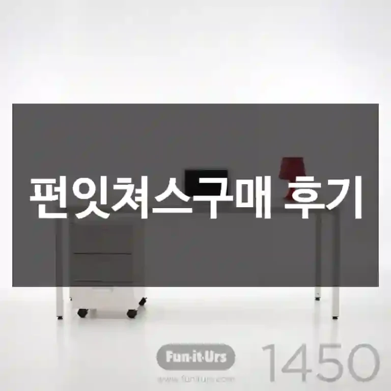 펀잇쳐스구매 후기