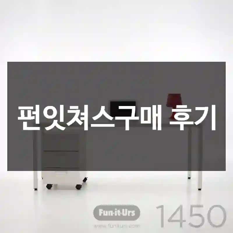 펀잇쳐스구매 후기
