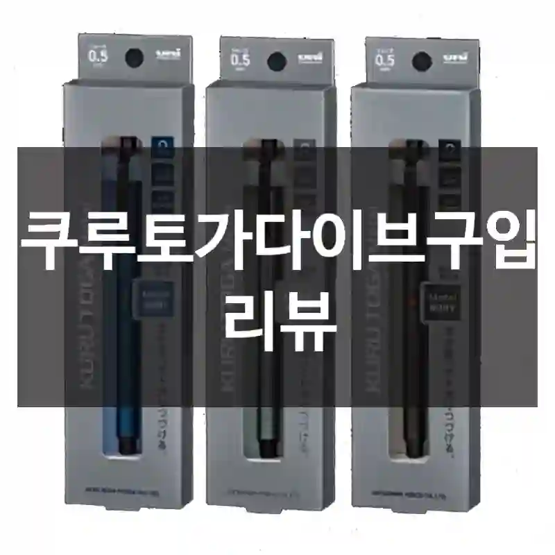 쿠루토가다이브구입 리뷰