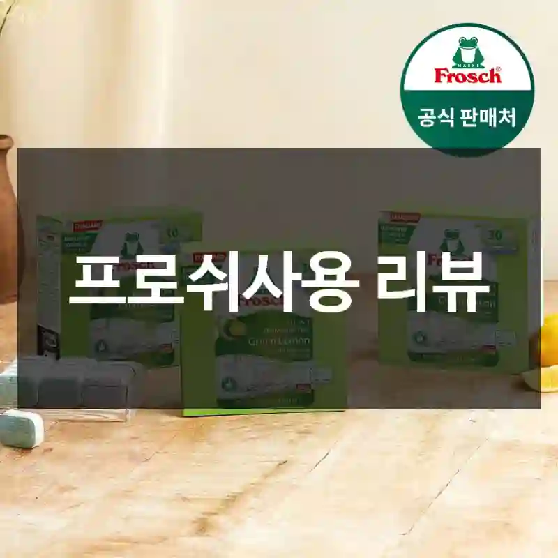 프로쉬사용 리뷰