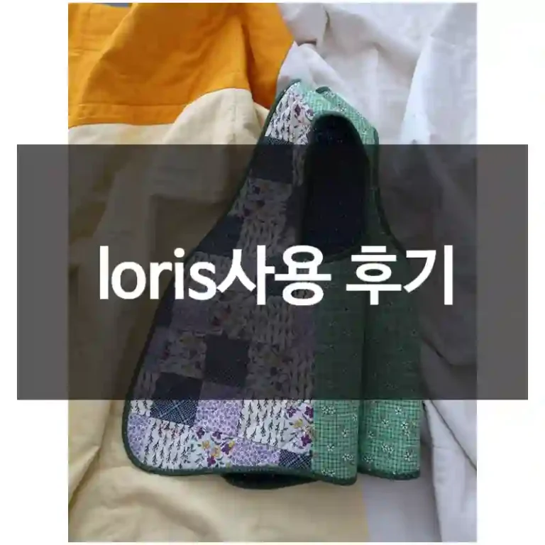 loris사용 후기