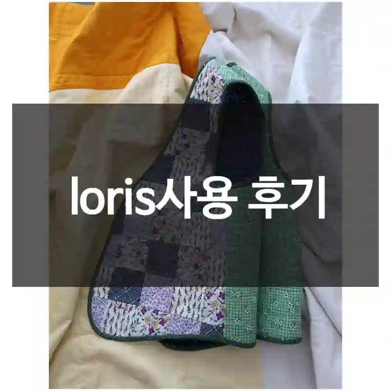 loris사용 후기