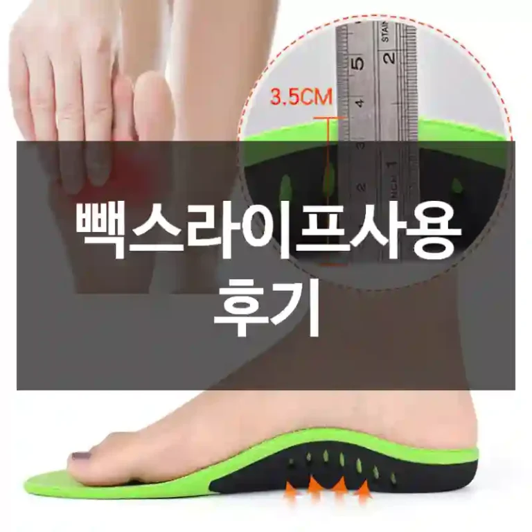 빽스라이프사용 후기