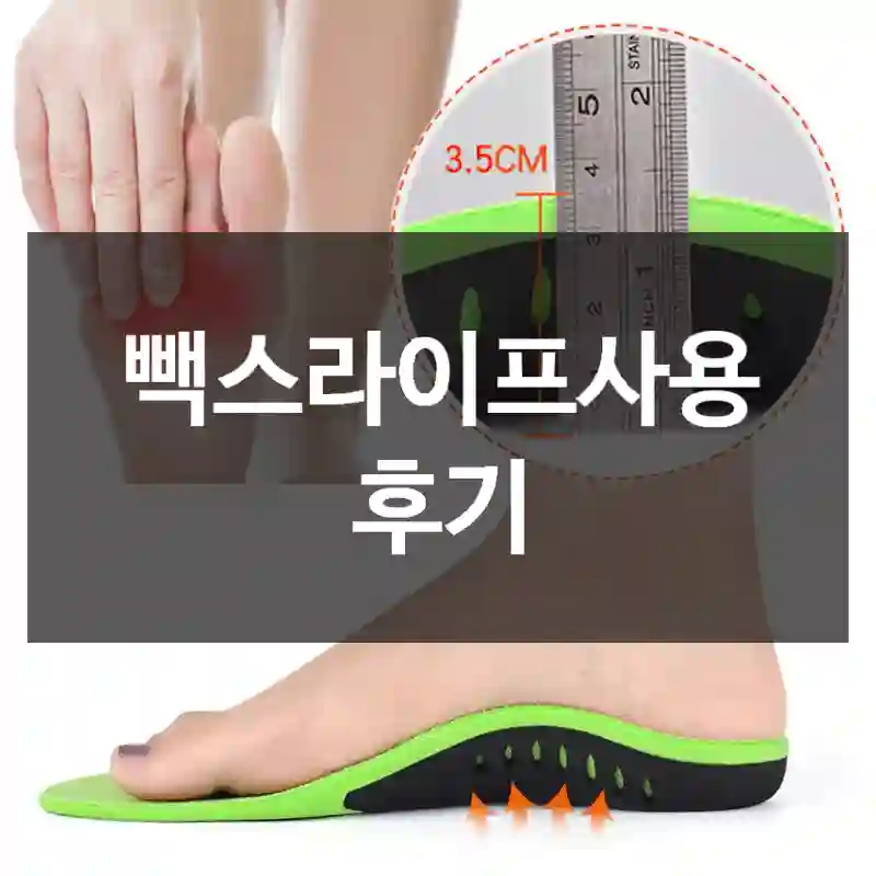 빽스라이프사용 후기