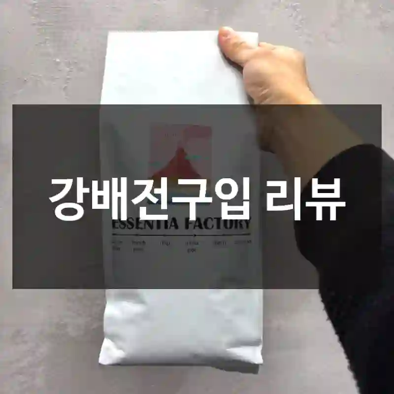 강배전구입 리뷰