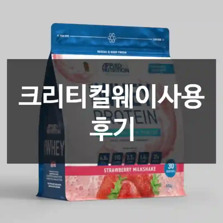 크리티컬웨이사용 후기