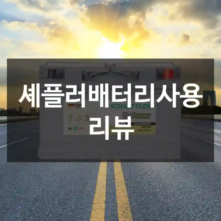 셰플러배터리사용 리뷰