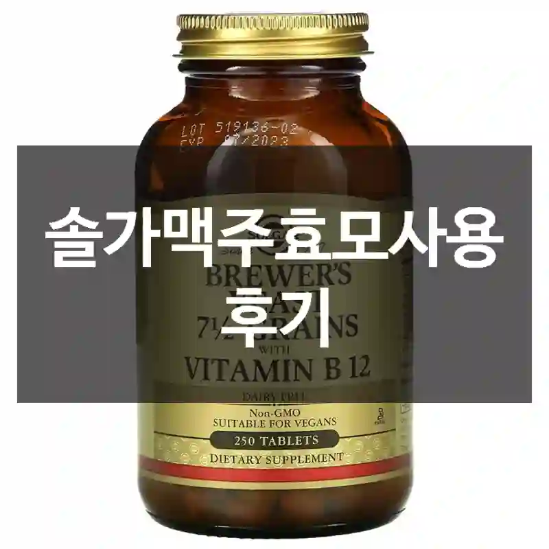 솔가맥주효모사용 후기