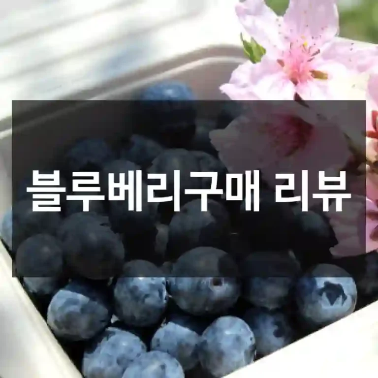 블루베리구매 리뷰