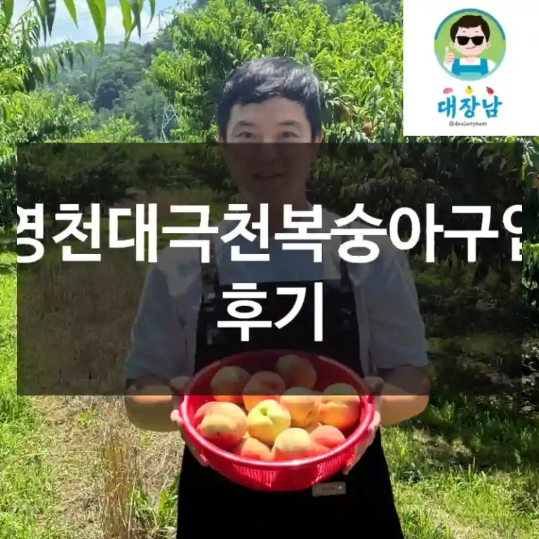 영천대극천복숭아구입 후기