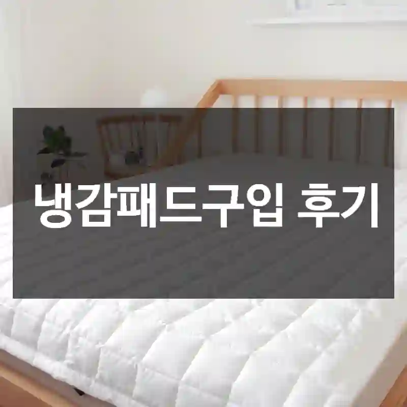 냉감패드구입 후기