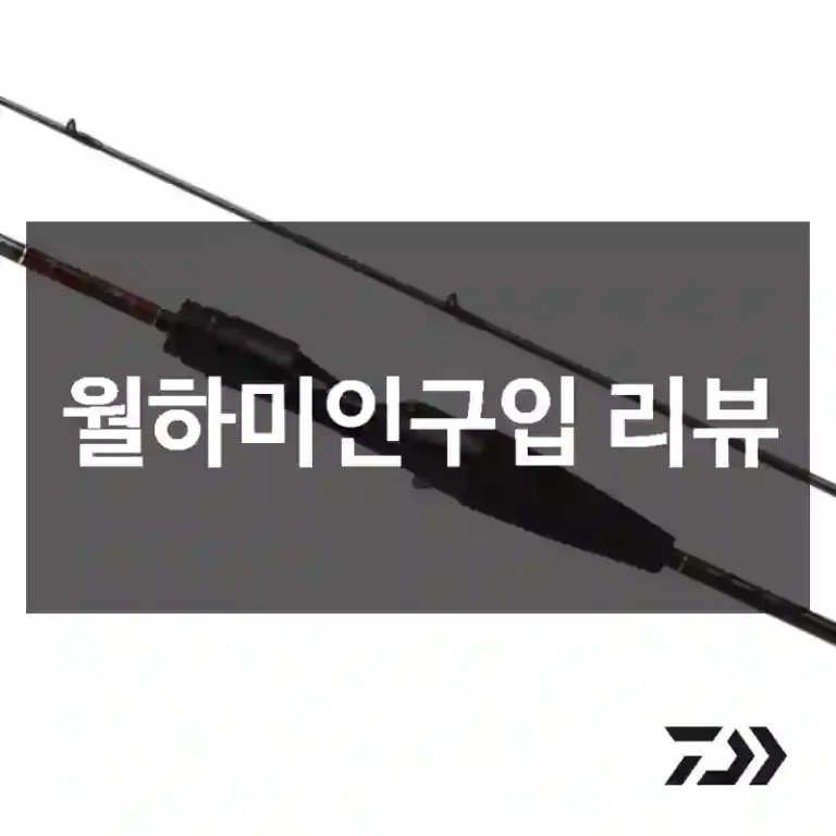 월하미인구입 리뷰