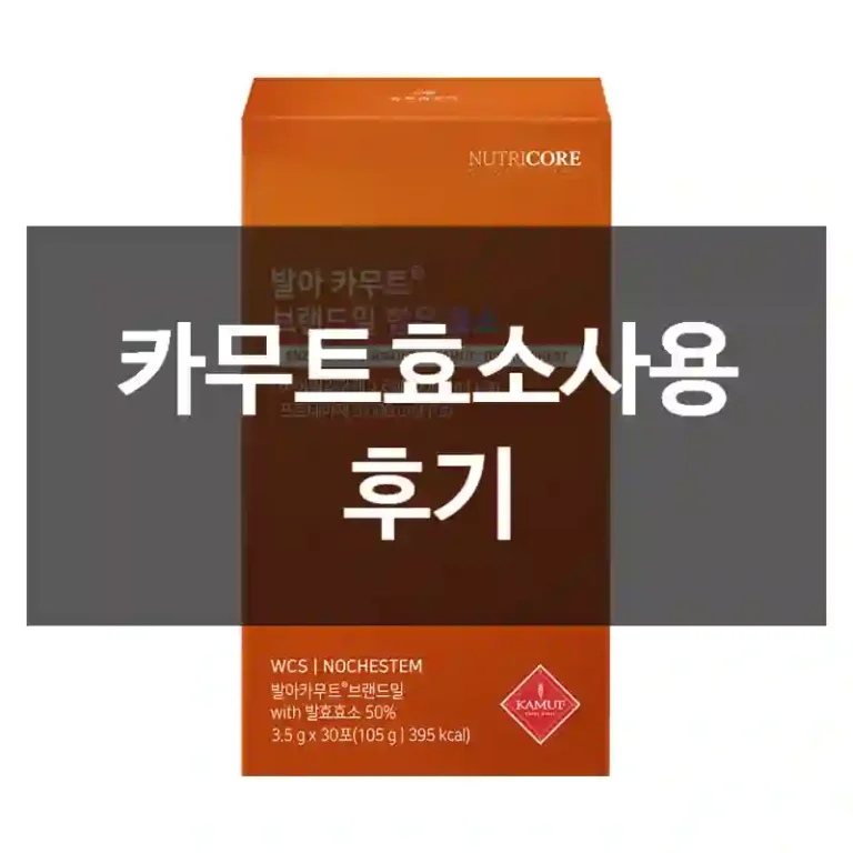 카무트효소사용 후기