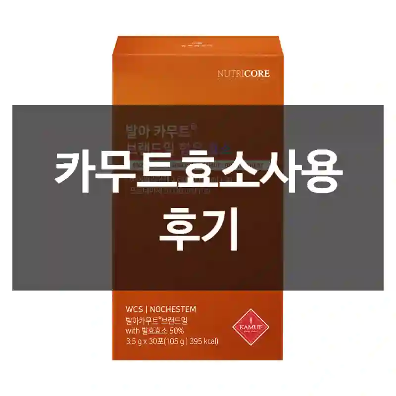 카무트효소사용 후기