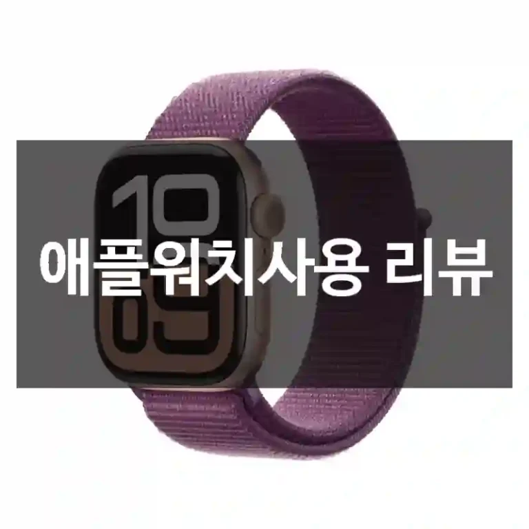 애플워치사용 리뷰