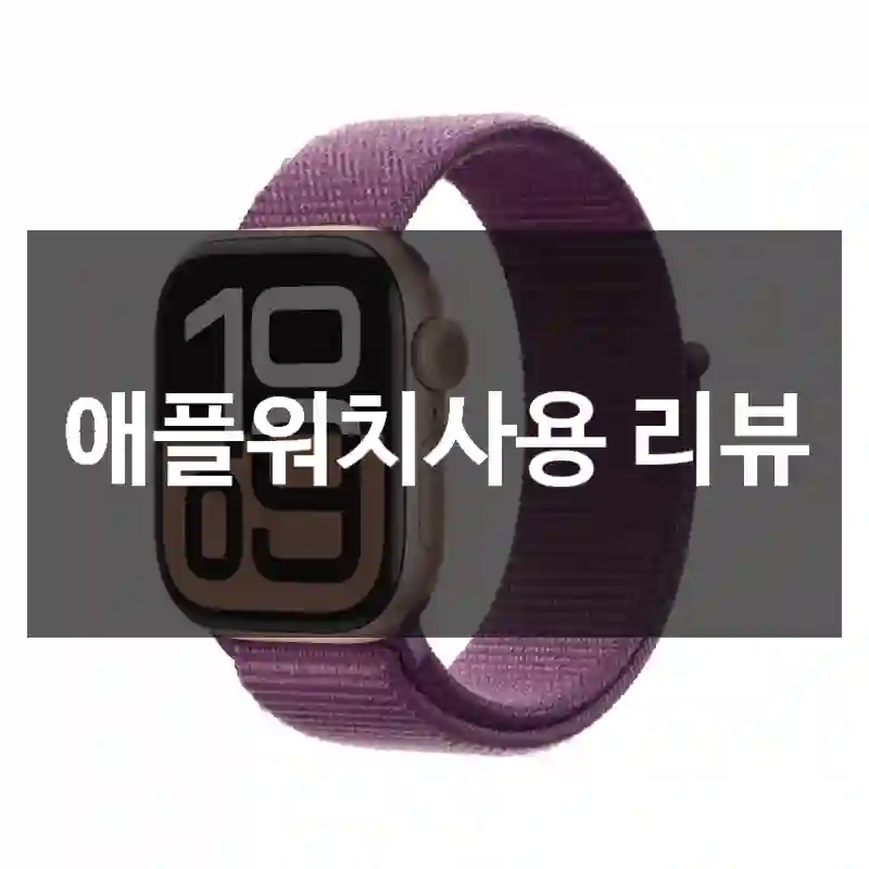 애플워치사용 리뷰