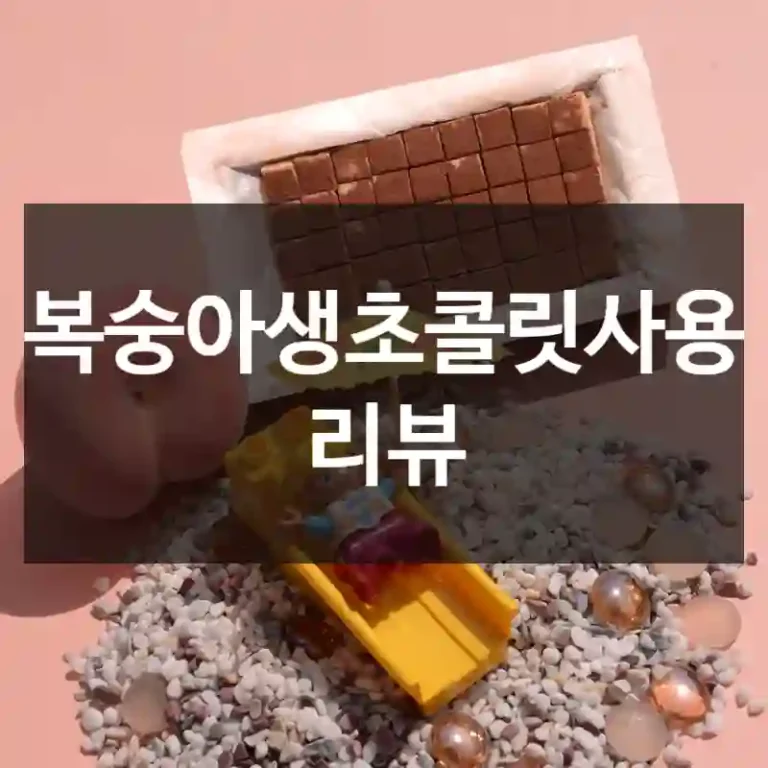 복숭아생초콜릿사용 리뷰