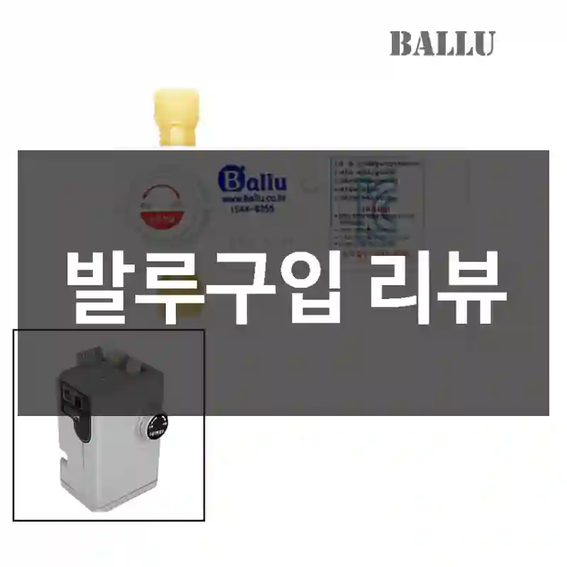 발루구입 리뷰