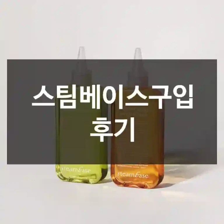 스팀베이스구입 후기