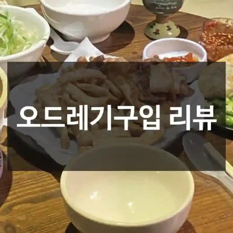 오드레기구입 리뷰