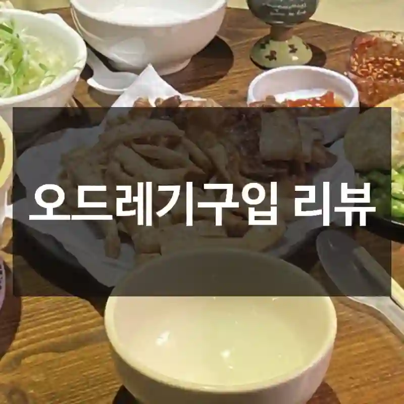 오드레기구입 리뷰
