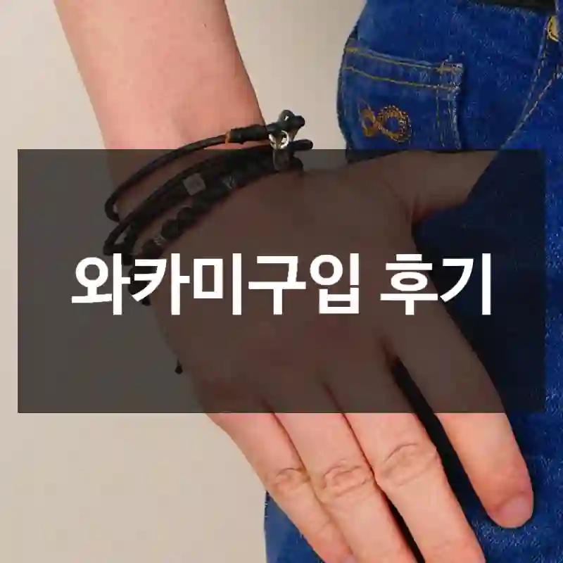 와카미구입 후기