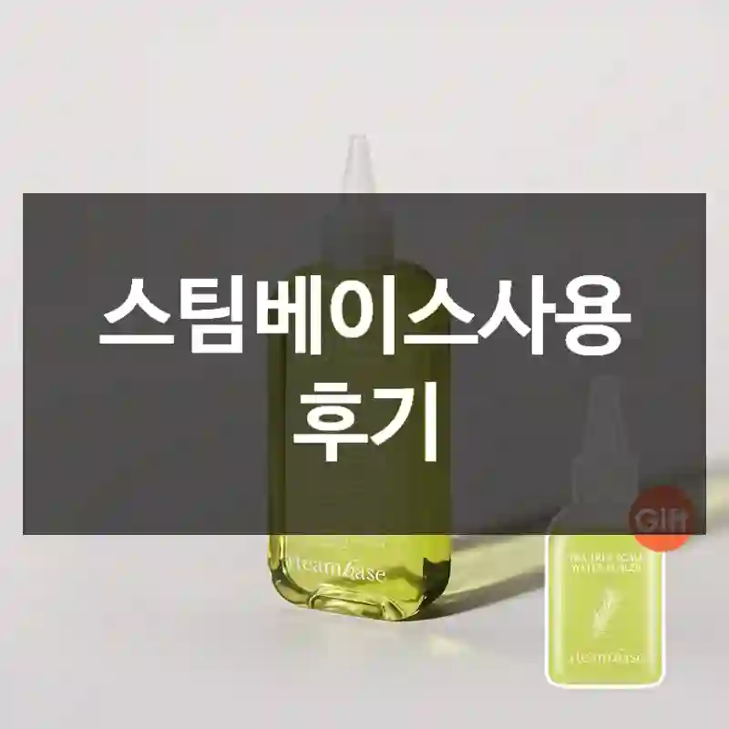 스팀베이스사용 후기