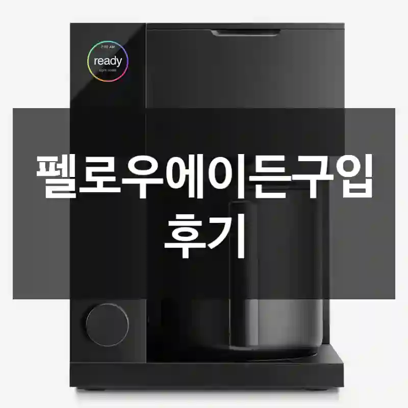 펠로우에이든구입 후기