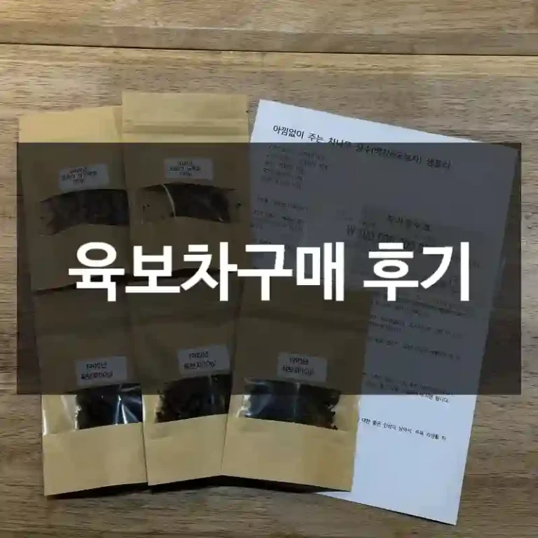 육보차구매 후기