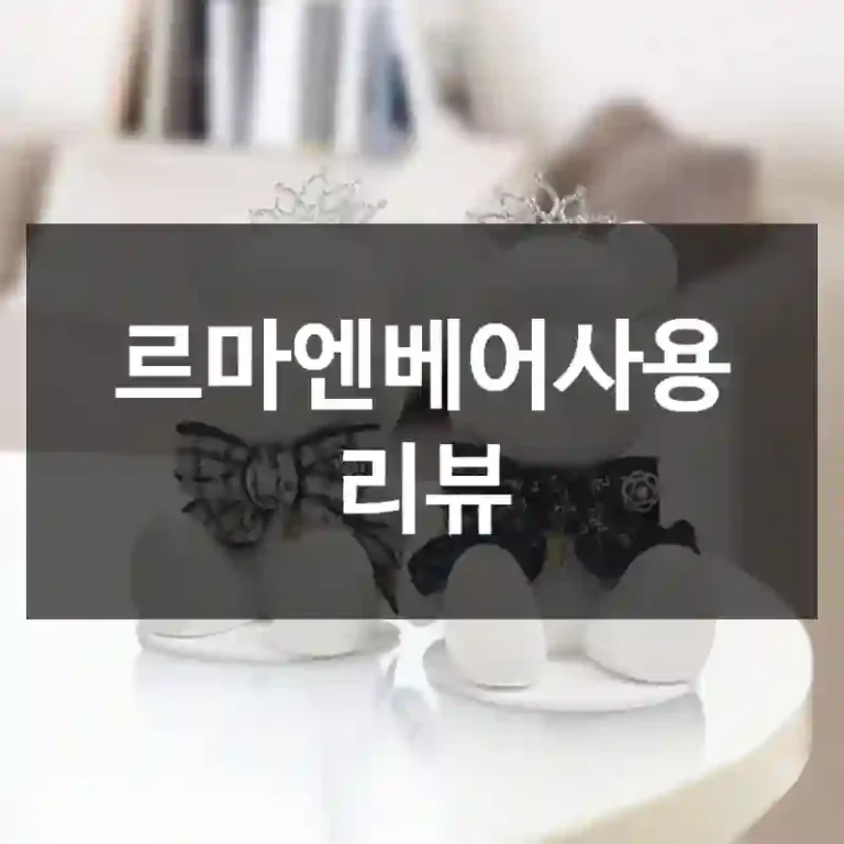 르마엔베어사용 리뷰