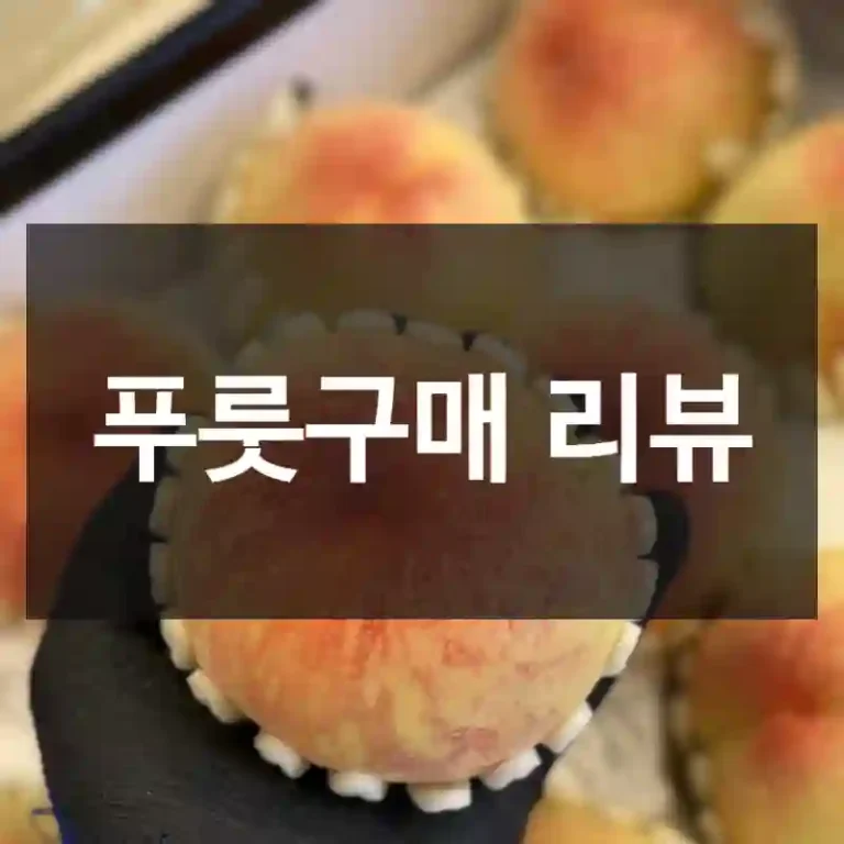 푸룻구매 리뷰