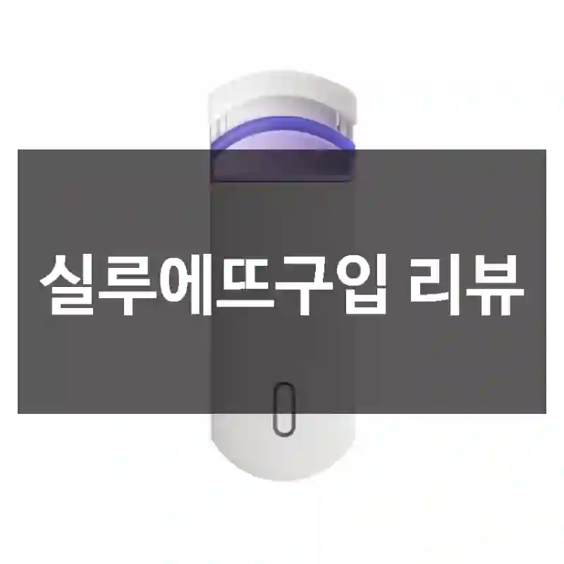 실루에뜨구입 리뷰