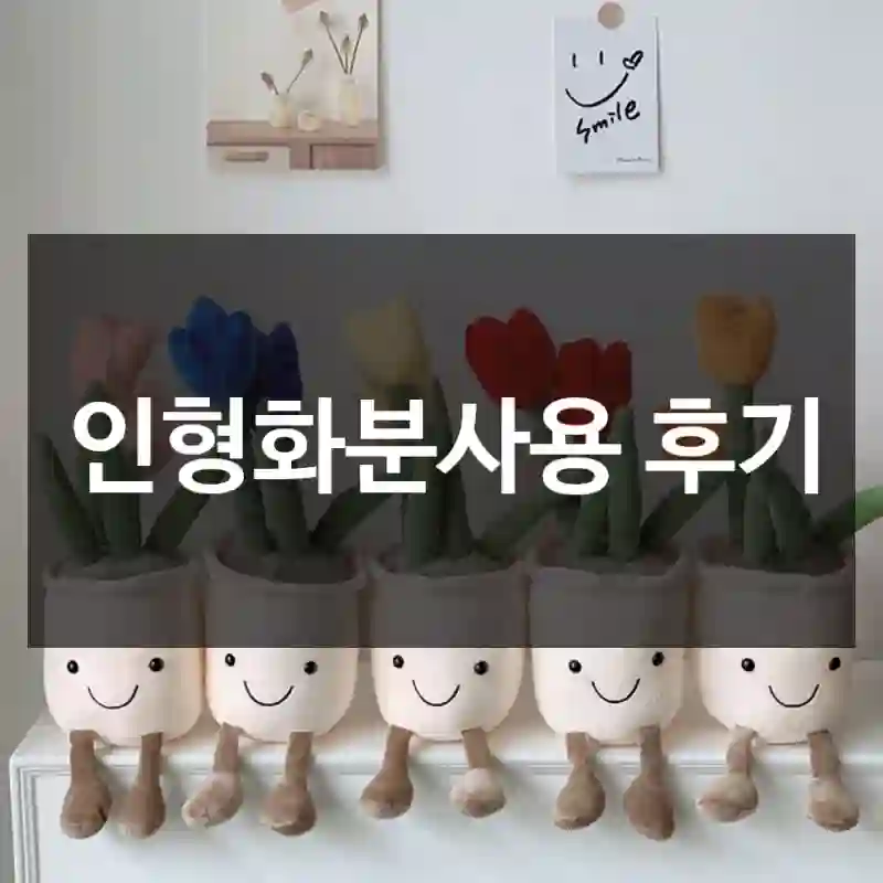 인형화분사용 후기